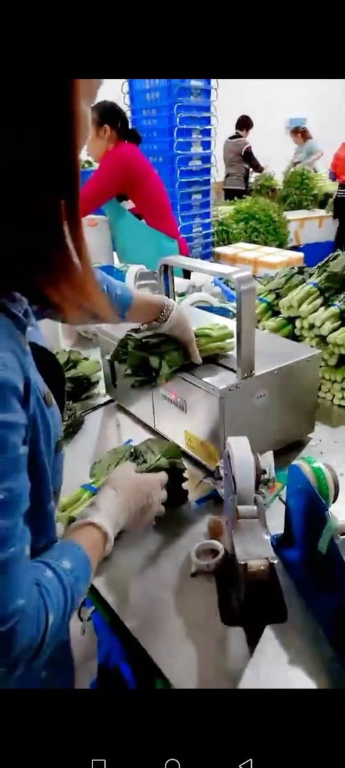 智能設(shè)備賦能工廠，銷量翻番的幕后故事